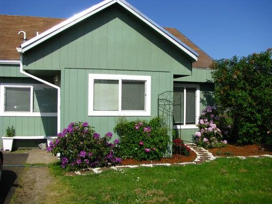 Absolute Computer Repair and Support