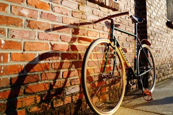 One of a Kind Masi Sports Tweed One of a kind only at FBG