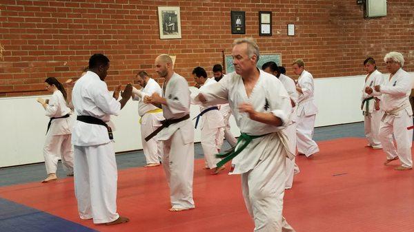 Kyokushin Karate North Valley Dojo