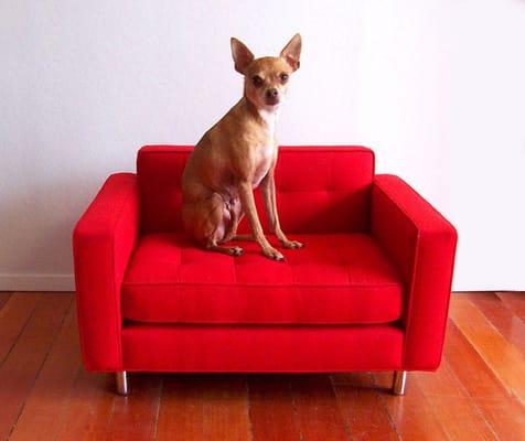 Mid-Century Style Dog Bed With Owner