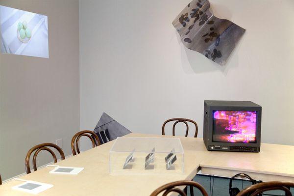 Installation view of exhibition As If