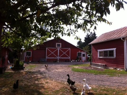 Tanner's Unlimited Bookkeeping & Tax Service