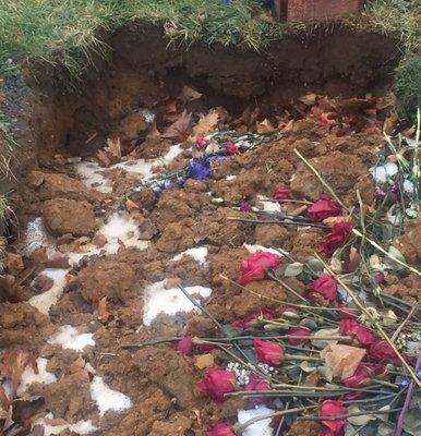 Greenwood Cemetery & Crematorium