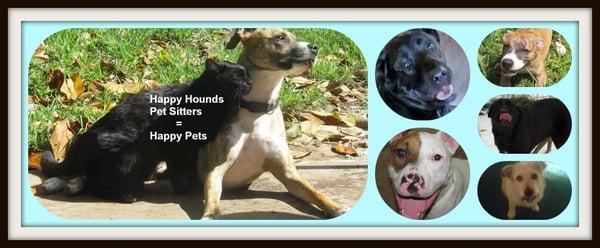Happy Hounds Pet Sitters