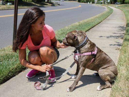 Jersey Shore Pet Care, LLC