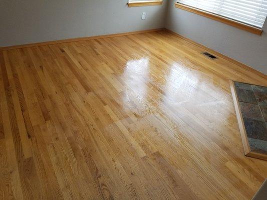 Clean Living 101 HouseKeeping