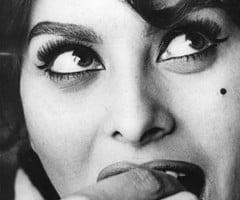 LASHES & LABELS LLC.