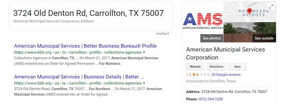 American Municipal Service