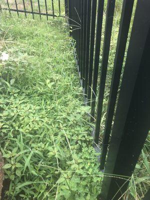 Queen City Lawn & Landscaping