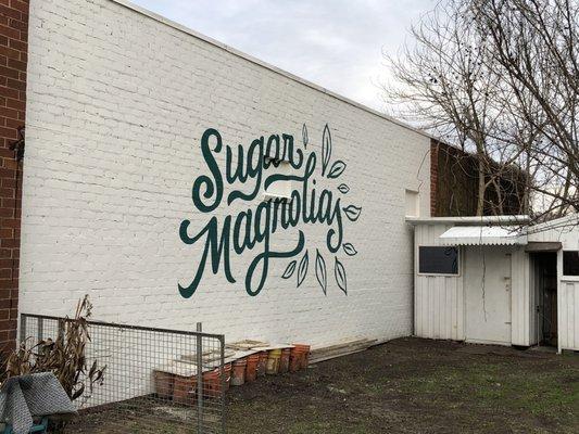 Sugar Magnolias