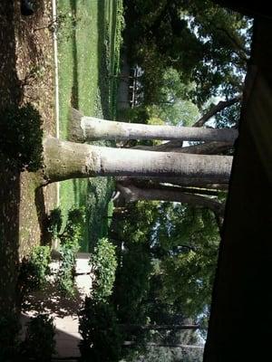 Harris Sheila DDS MS