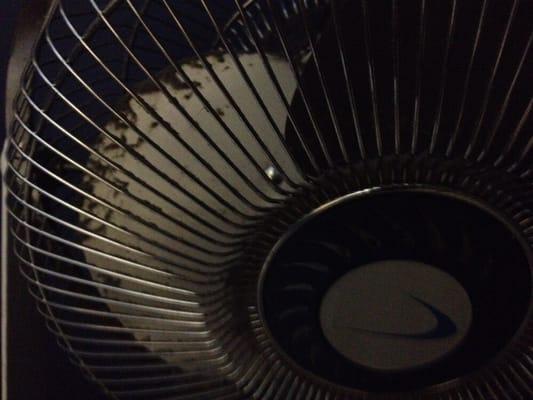 Dirty fan in tanning room