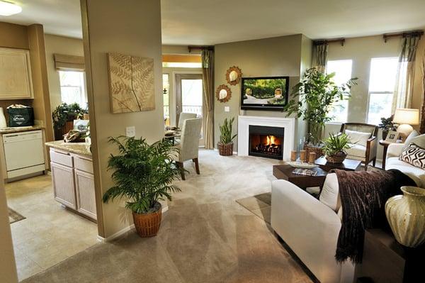 Pure Sparkle Home Cleaning