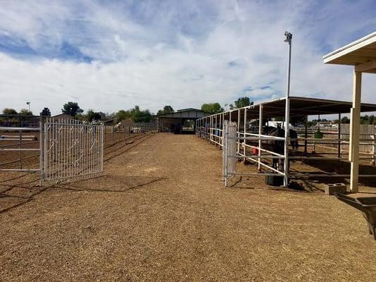 Par Excellence Farms