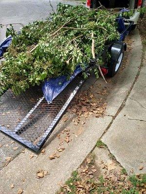 Strictly Roots Landscaping