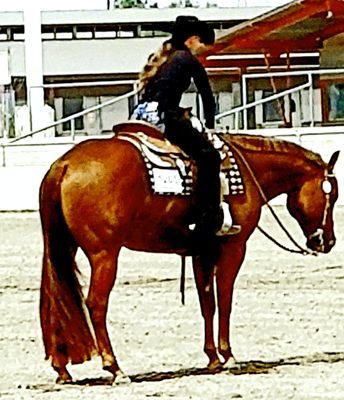 Training and Teaching all ages and all levels of experience. Welcome!