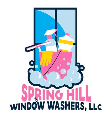 Spring Hill Window Washers
