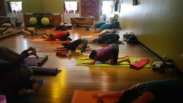 Yoga at the Himalayan Wellness Center