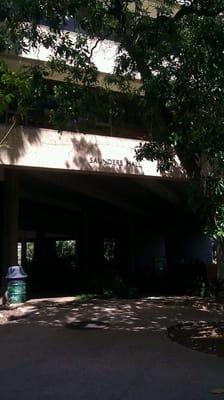 It's funny that they put the sign of the building behind a tree