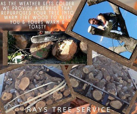 Rays Tree Services