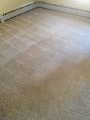 Al's & E's Carpet Cleaning