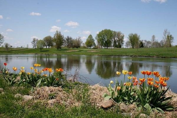 South Fork Creek Golf Course