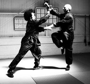 Sifus Nic and Josh demosntrate a form