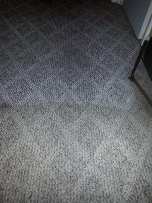 Wilhite Carpet Cleaning & More