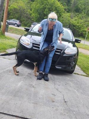 Hornstein Contracting