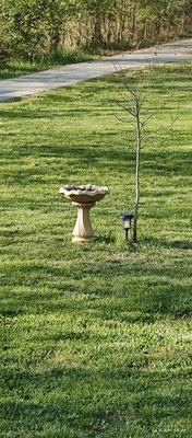 Bradford's Landscaping Nursery