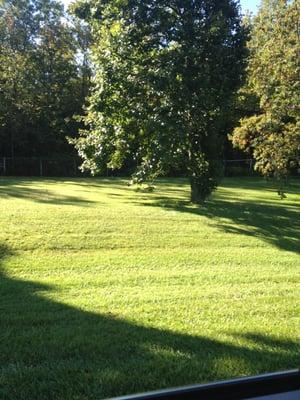 Come here to text and read emails when on the road.