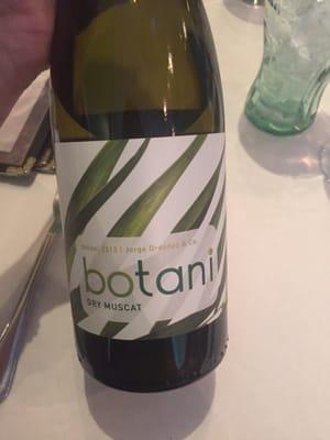 Great white recommendation from the owner!