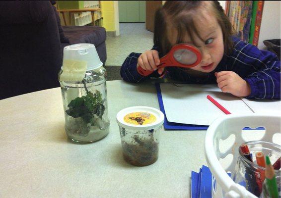 Friendly Flock Preschool