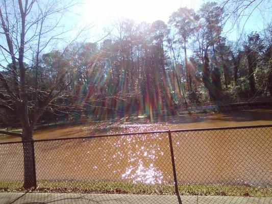 The little lake next to the track