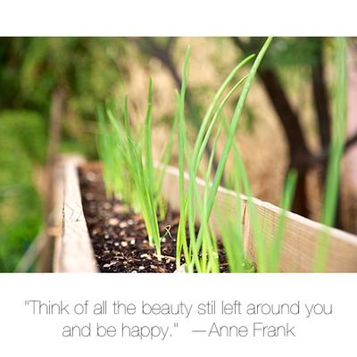 Anthony's Paradise Valley Dog Sitting