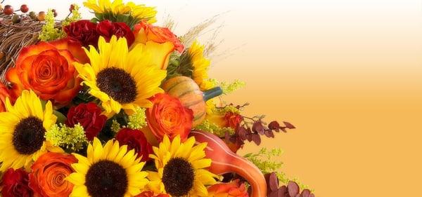 Del Paso Boulevard Florist is the #1 florist in the Sacramento area.