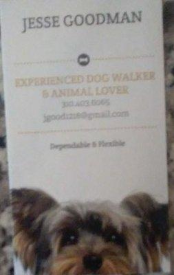 Jesse Goodman Dog Walking