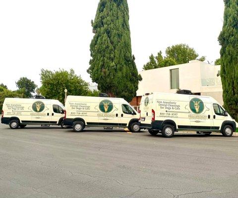 Smile Specialist Dental Clinics