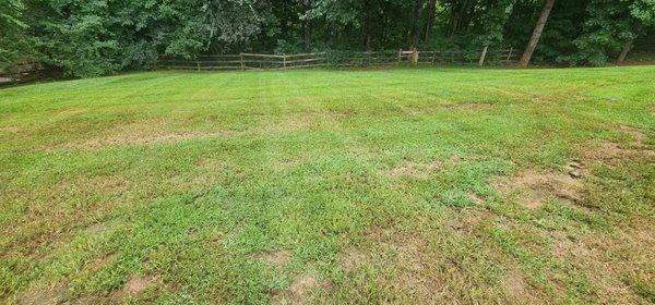 Fox Lawncare & Landscaping