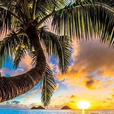 Paradise Pointe Rv Park