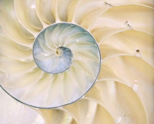 Begin your journey inward and outward