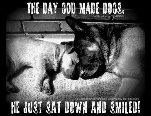 Fairfield Bay Animal Control Shelter