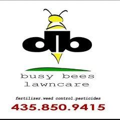 Busy Bees Lawncare
