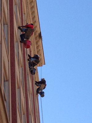 Trake Window Cleaning & Janitorial Services