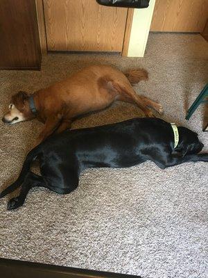 Saltzman Insurance & Financial Services