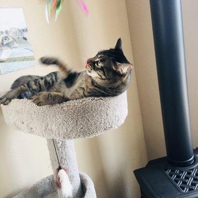 Ruffin' It With Sarah