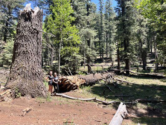 Thousand Mile Canyon Trail