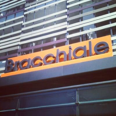 Bracchiale