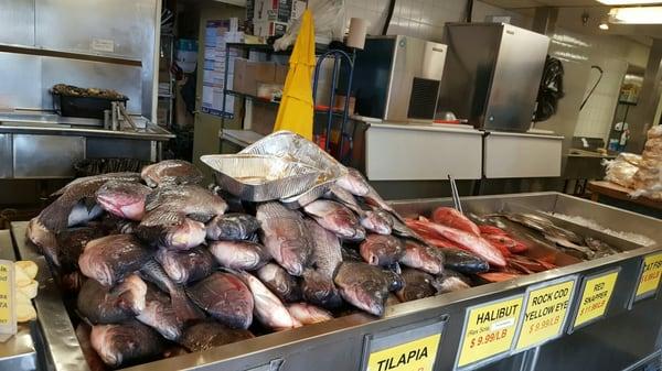 Full of fresh fish early in the morning