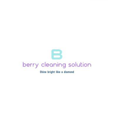 Berry Cleaning solution